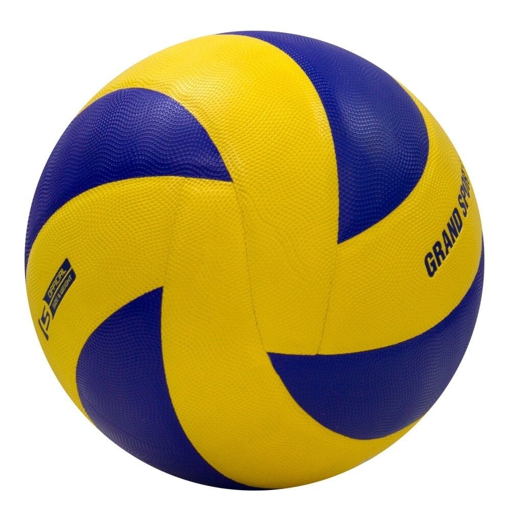 วอลเลย์บอล